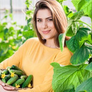 Diploma in Organic Gardening