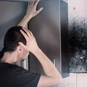 Know about Mould