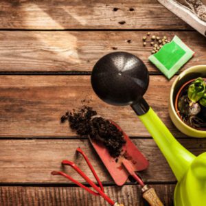 Diploma in Gardening