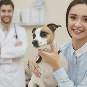 Pet Care 3 Course Bundle