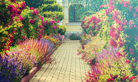 Diploma in Landscaping