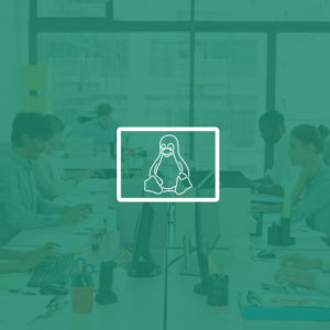 CompTIA Linux+ Certification - Complete Video Course