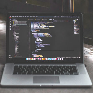 App Development Complete Diploma (GraphQL Prisma Node & React)
