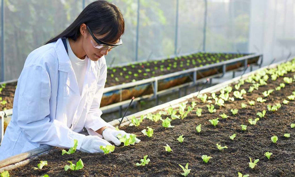 phd botany programs