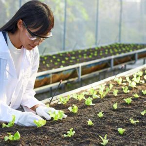 General Botany Certification Course