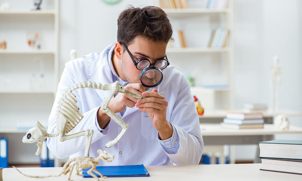 Zoology & Animal Science Training Course John Academy