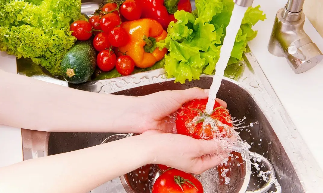 Food Hygiene and Safety