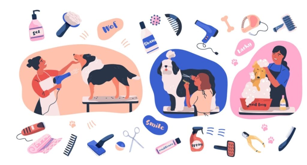 How Much Do Animal Carers Earn