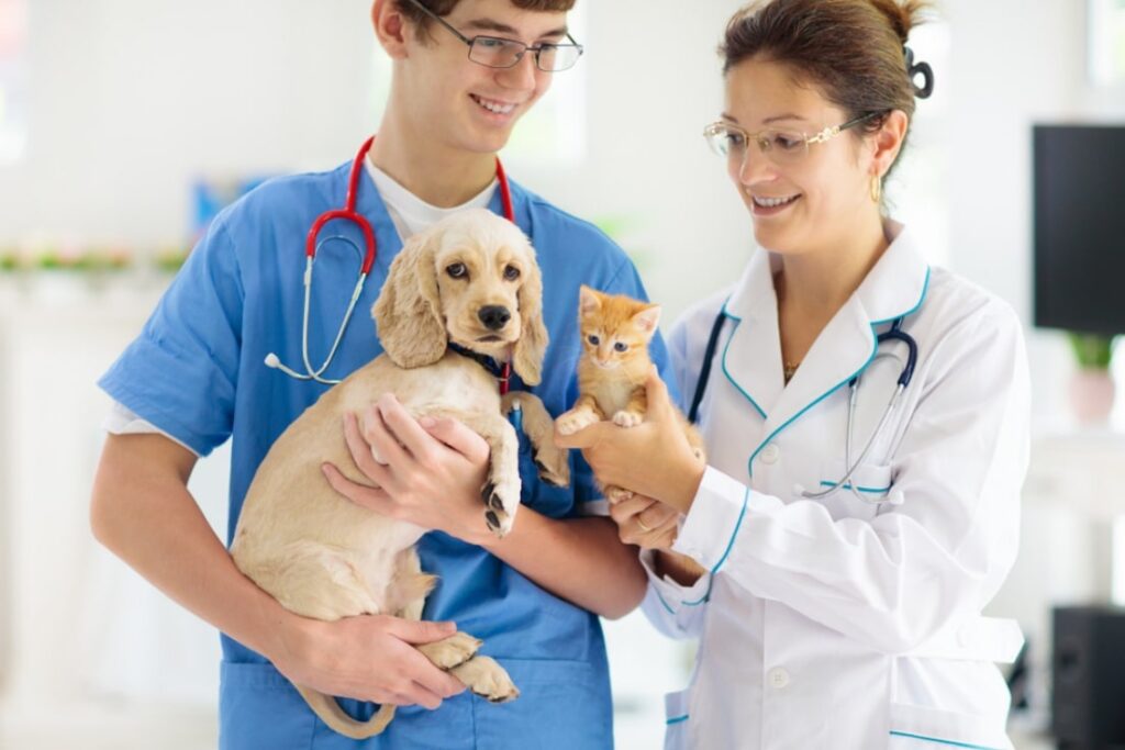 who Should Do Online Animal Care Course