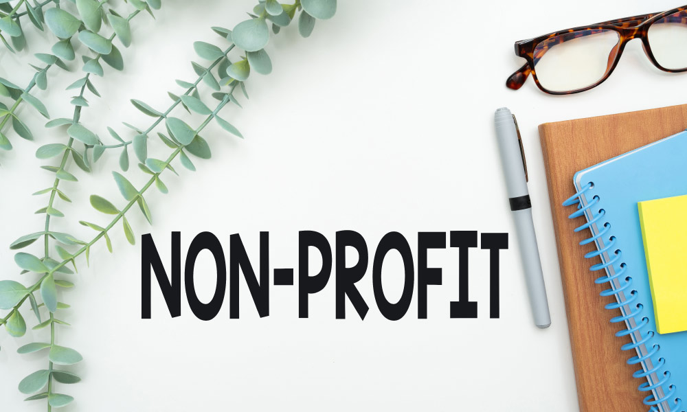 Non Profit Grant Writing Essentials