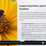 Online Entomology Training