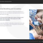 Anaphyaxis and Basic Life Support Training2