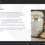 Bread Making Masterclass