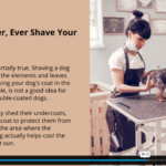 Dog Grooming Business Course