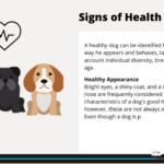 Dog Health Care