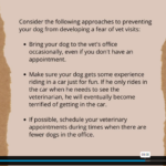 Dog Health Care1