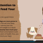 Dog Health Care3
