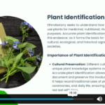 Ethnobotany Course1