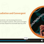 Evolutionary Biology Course1