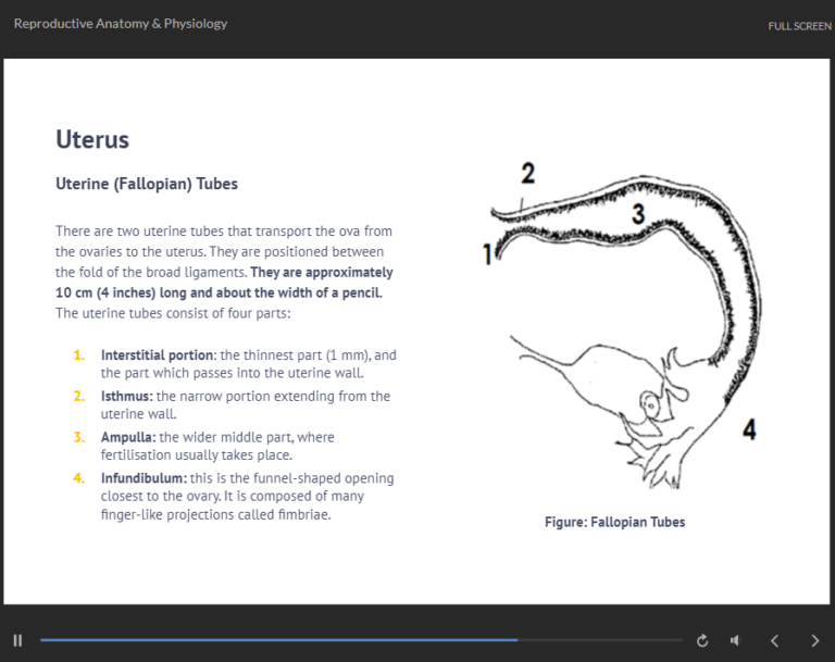 Maternity Care Assistant Course1