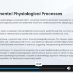 Naturopathy Fundamentals