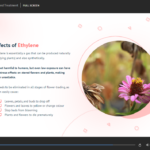 Online Floristry Course2
