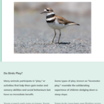 Ornithology44
