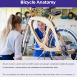 Performance Cycling Training