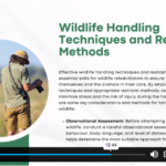 Rehabilitation For Wildlife Training