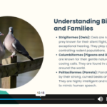 Ornithology (Study of Birds) Course