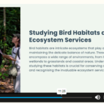 Ornithology (Study of Birds) Course