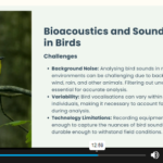 Ornithology (Study of Birds) Course