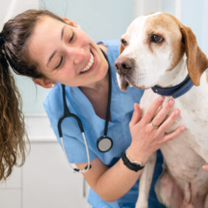 Veterinary Physiotherapy