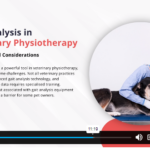 Veterinary Physiotherapy Training1