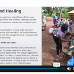 Australian Aboriginal Culture Course2