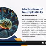 Basics of Neuroscience and Learning1