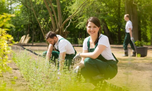 Groundskeeping