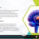 Introduction to Neuroscience1