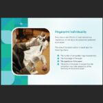 Private Investigation Training2