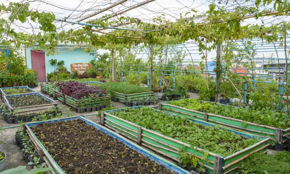 Urban Farming and Gardening