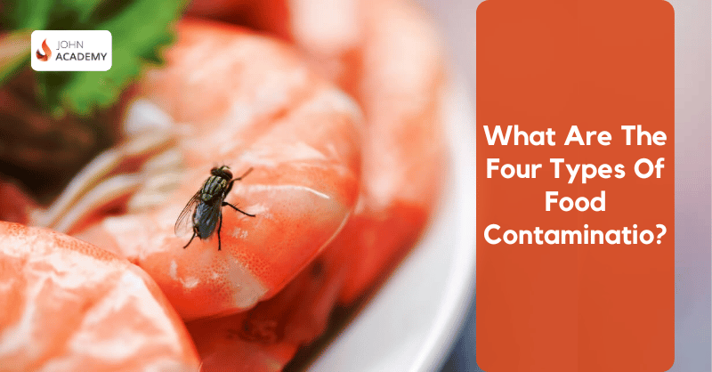 What are the Four Types of Food Contamination?