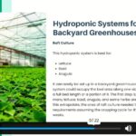 Hydroponic Farming At Home2
