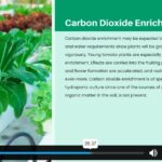Hydroponic Farming At Home4