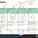Surge Protective Devices for Overvoltage Protection1