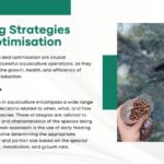 Agriculture and Fisheries Management Training4