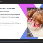 Diploma-in-Poultry-Farming-1