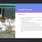 Diploma-in-Poultry-Farming-4