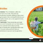 Organic Farming Training4