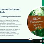 Rewilding Course2