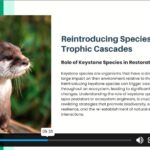 Rewilding Course3